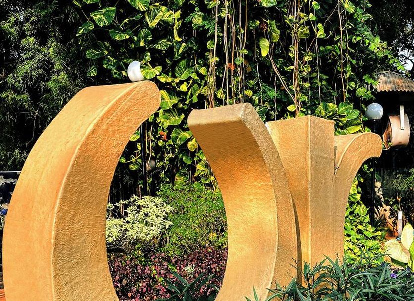 Cảnh ngoài trời Ảnh