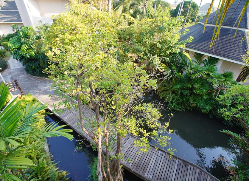 Cảnh ngoài trời Ảnh