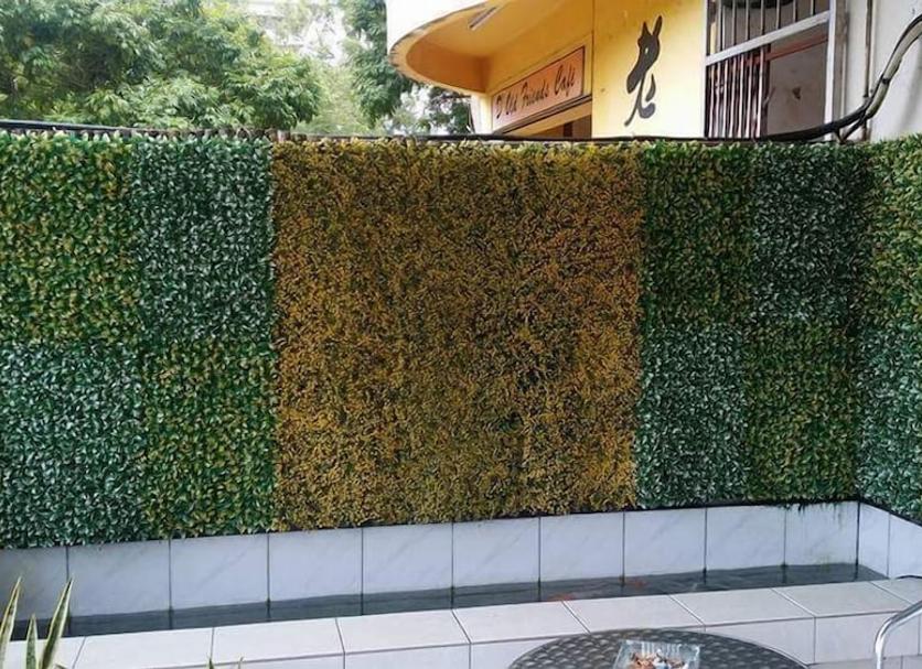 Cảnh ngoài trời Ảnh