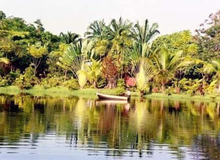 Cảnh ngoài trời Ảnh