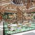 Khác