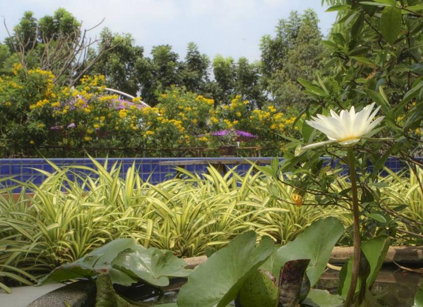 Cảnh ngoài trời Ảnh