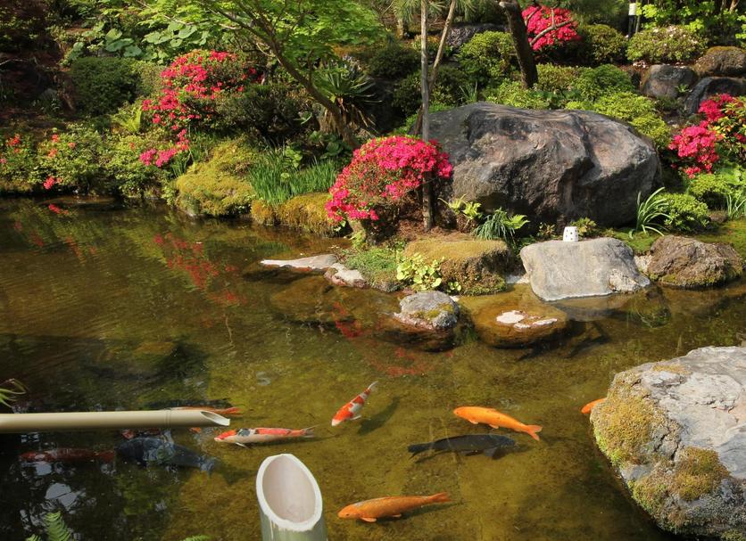 Cảnh ngoài trời Ảnh