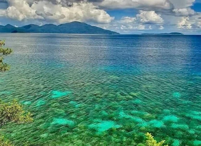 Khác Ảnh