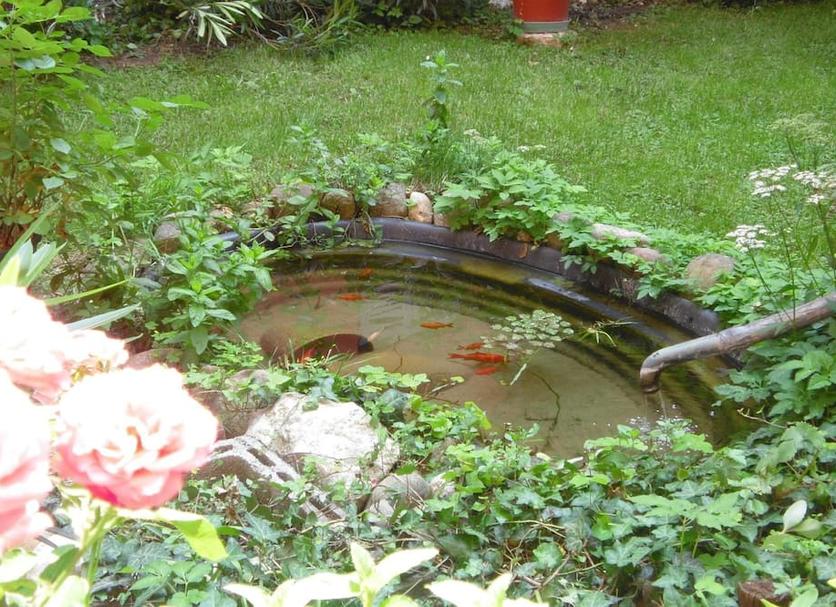 Cảnh ngoài trời Ảnh