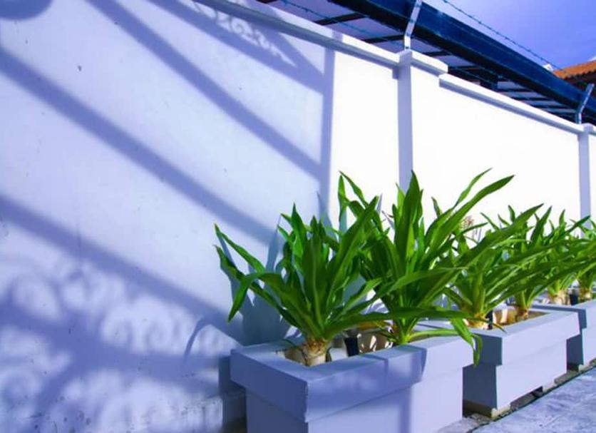 Cảnh ngoài trời Ảnh