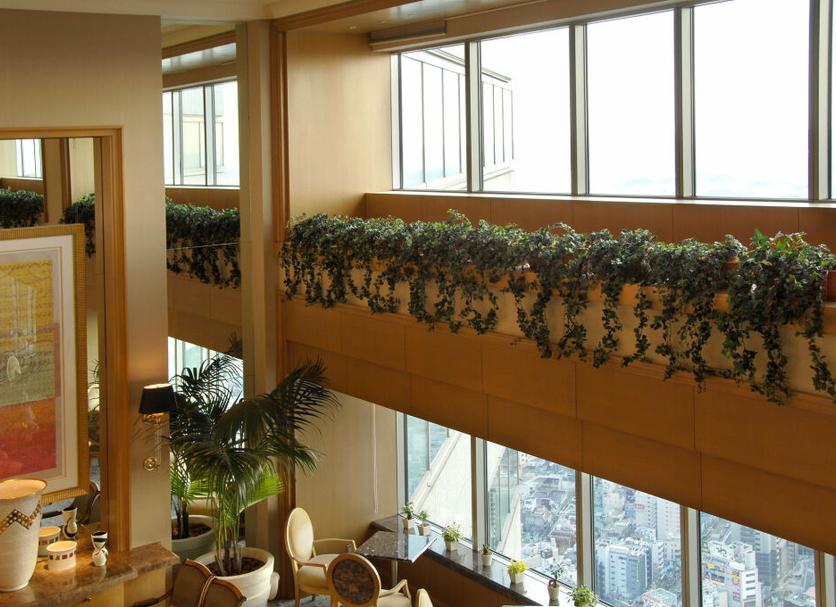 Khác Ảnh