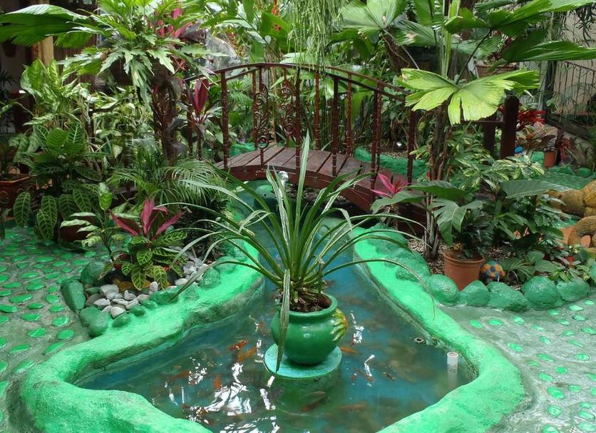 Cảnh ngoài trời Ảnh
