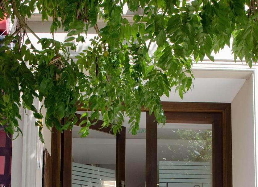 Cảnh ngoài trời Ảnh