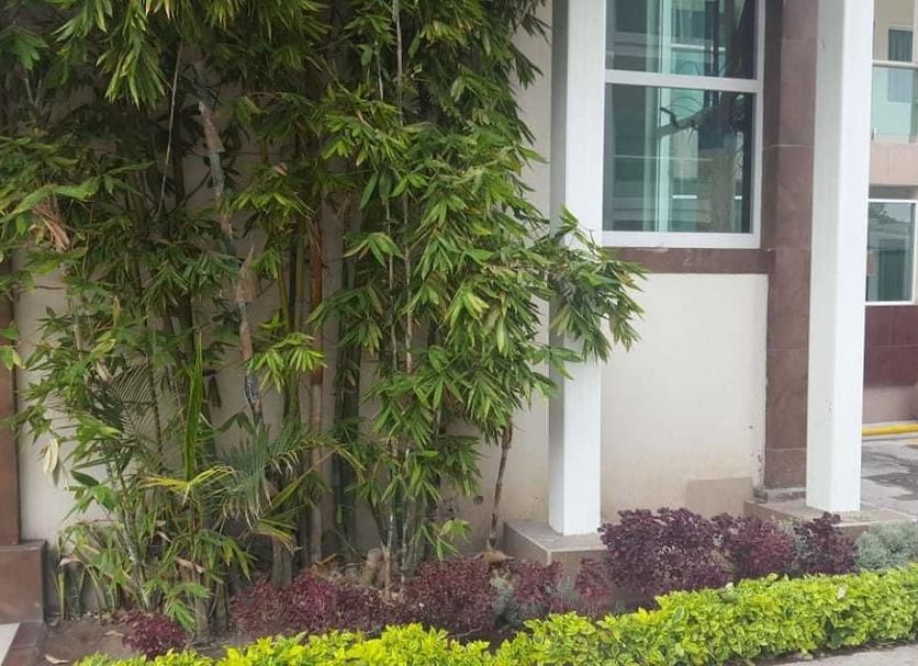 Cảnh ngoài trời Ảnh