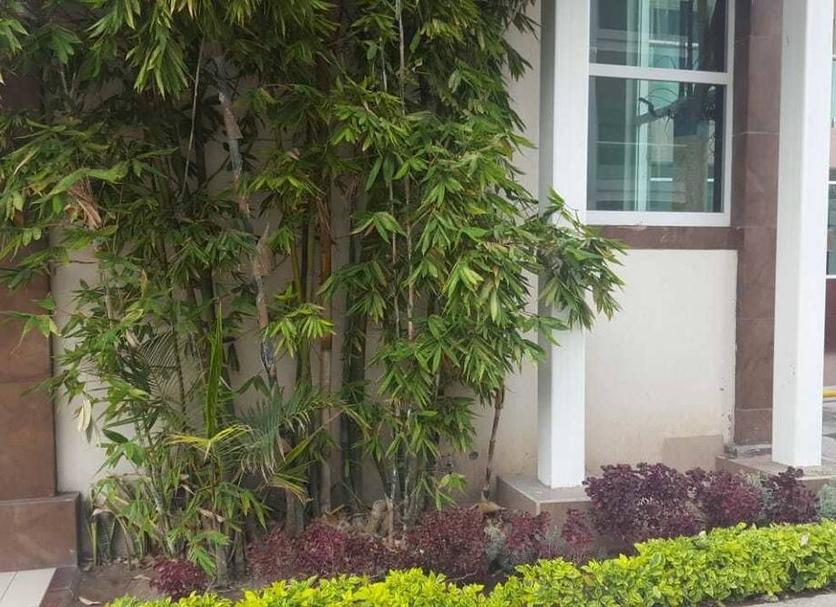Cảnh ngoài trời Ảnh