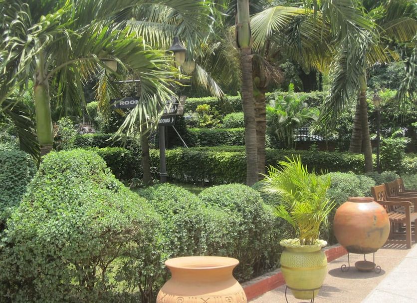 Cảnh ngoài trời Ảnh