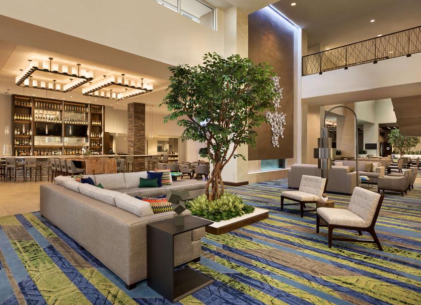 Lounge Ảnh