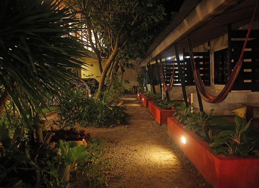 Cảnh ngoài trời Ảnh