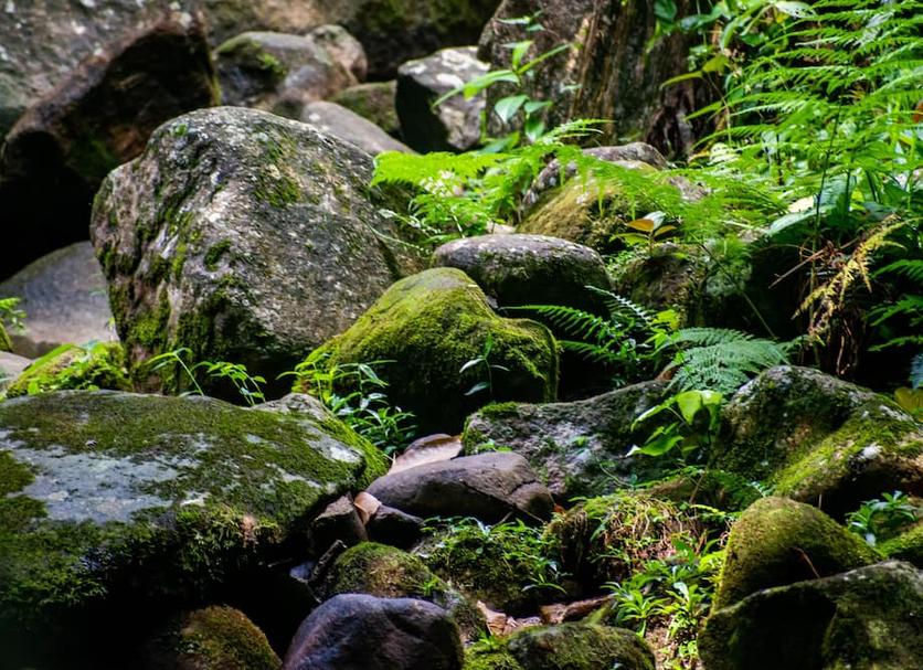 Cảnh ngoài trời Ảnh