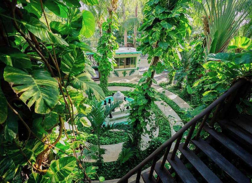 Cảnh ngoài trời Ảnh