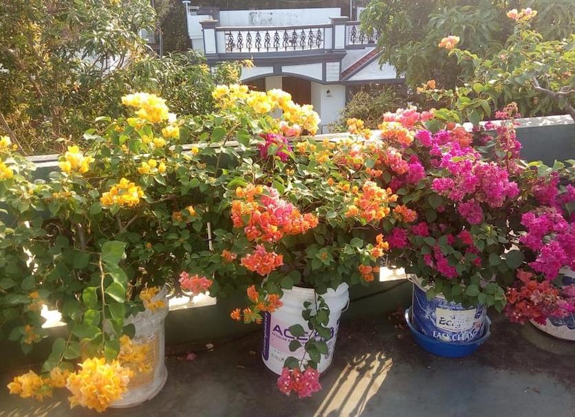 Cảnh ngoài trời Ảnh