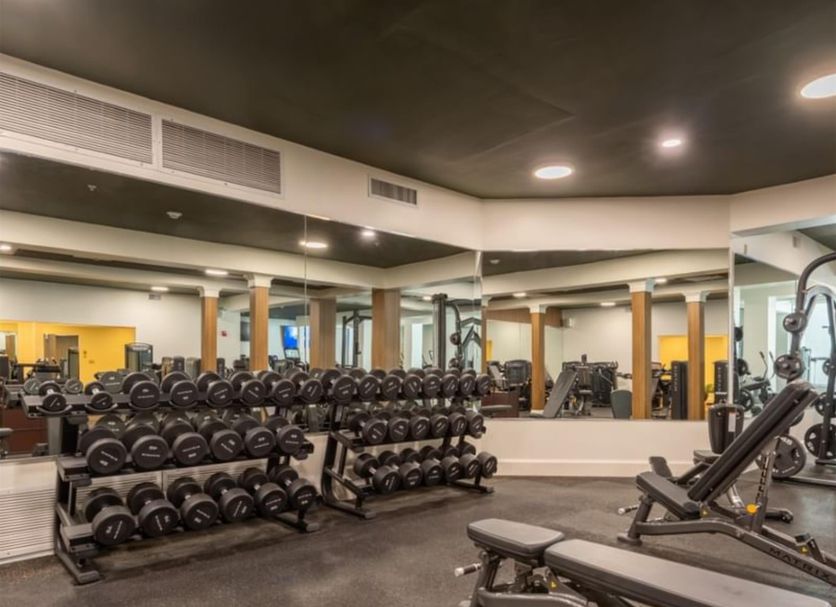 Gym Ảnh
