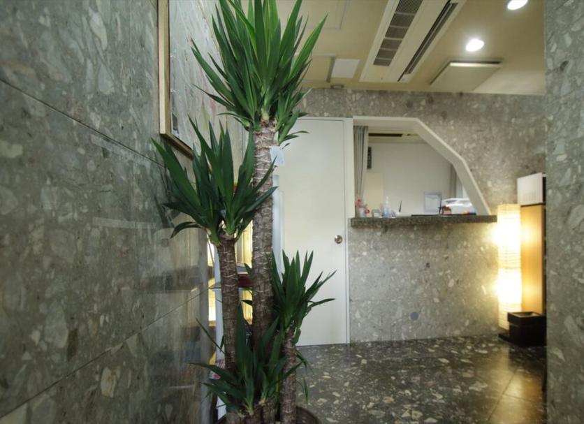 Cảnh ngoài trời Ảnh