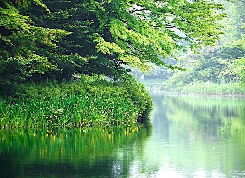 Cảnh ngoài trời Ảnh