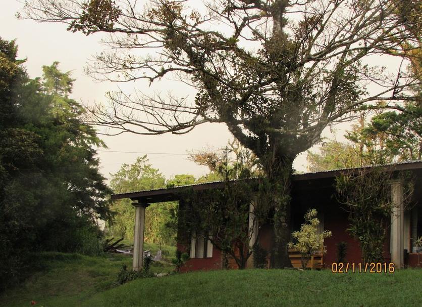 Khác Ảnh