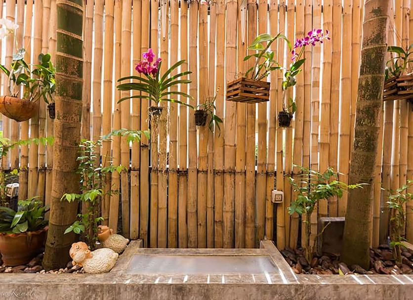 Cảnh ngoài trời Ảnh