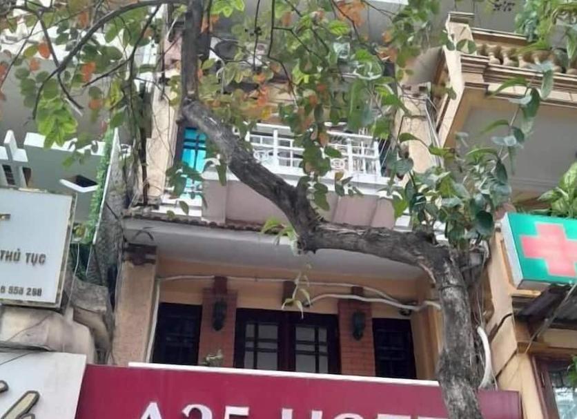 Cảnh ngoài trời Ảnh