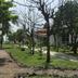 Cảnh ngoài trời