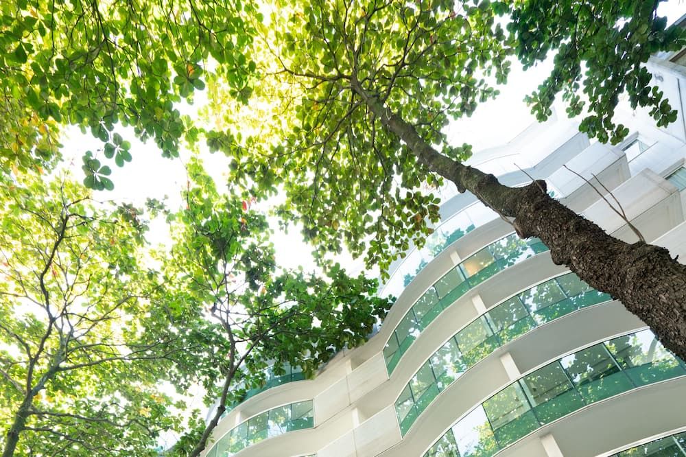 Cảnh ngoài trời