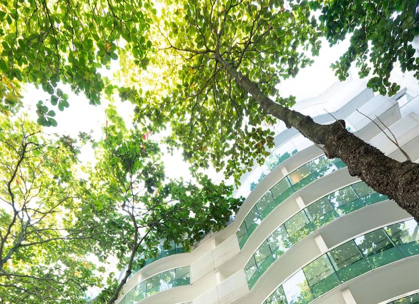 Cảnh ngoài trời Ảnh