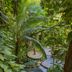 Cảnh ngoài trời