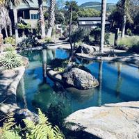 Gemini Lodge