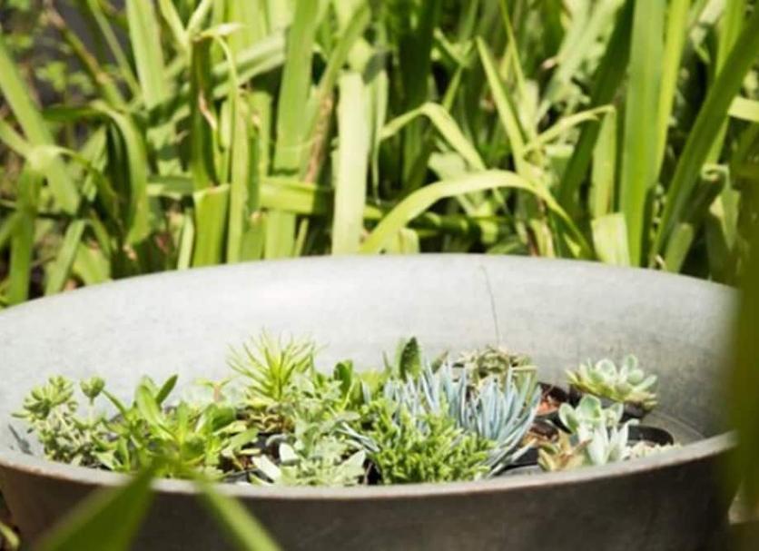 Cảnh ngoài trời Ảnh