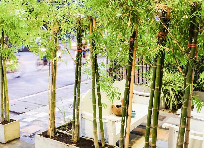 Cảnh ngoài trời Ảnh