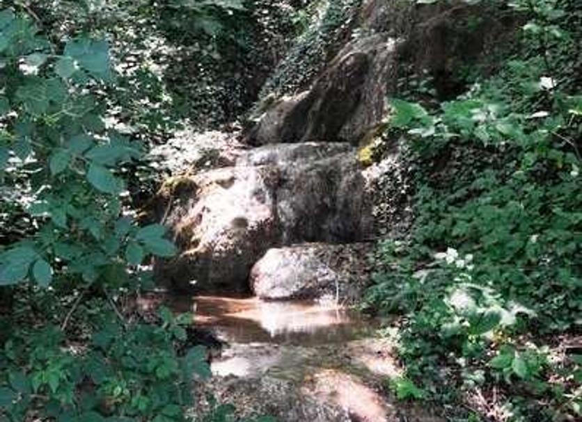 Khác Ảnh