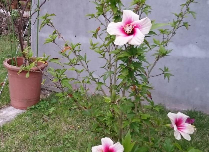 Cảnh ngoài trời Ảnh