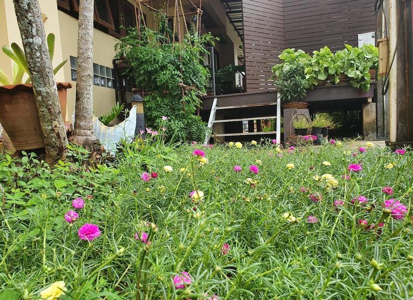 Cảnh ngoài trời Ảnh