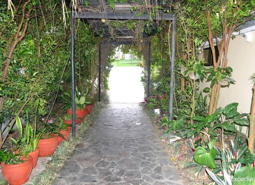 Cảnh ngoài trời Ảnh