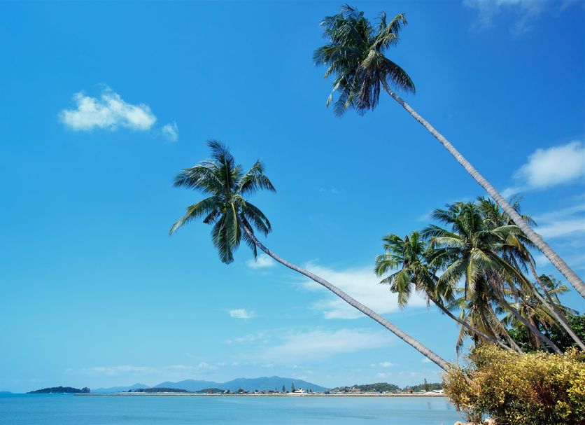 Bãi biển Ảnh