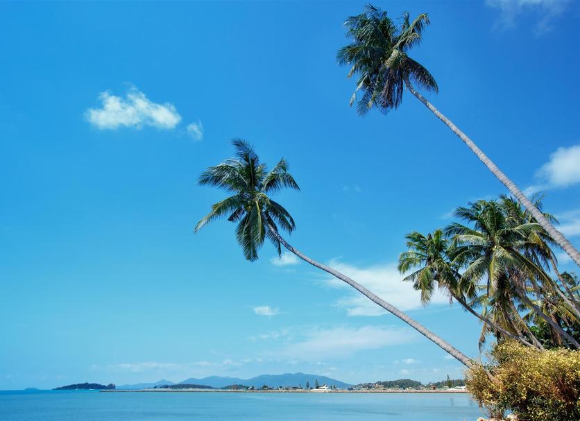 Cảnh ngoài trời Ảnh