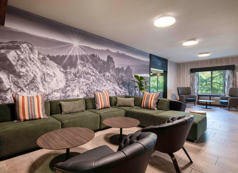 Lounge Ảnh