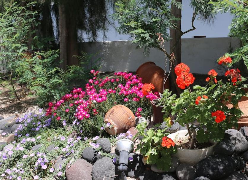 Cảnh ngoài trời Ảnh