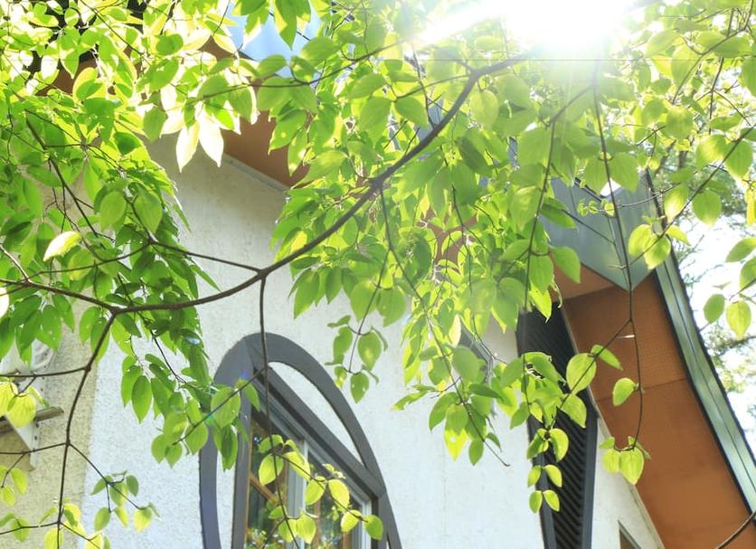 Cảnh ngoài trời Ảnh