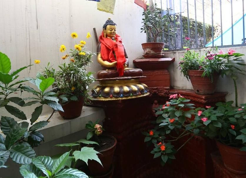 Cảnh ngoài trời Ảnh
