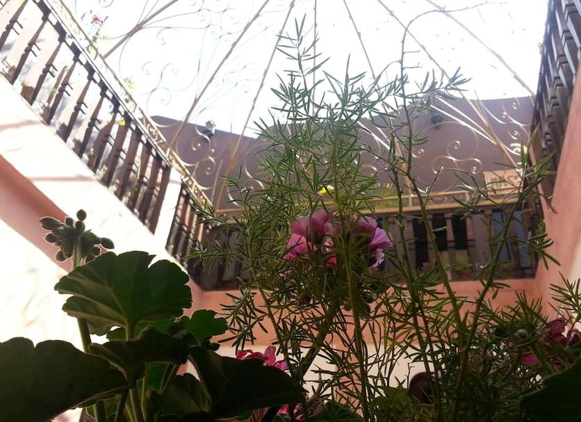 Cảnh ngoài trời Ảnh
