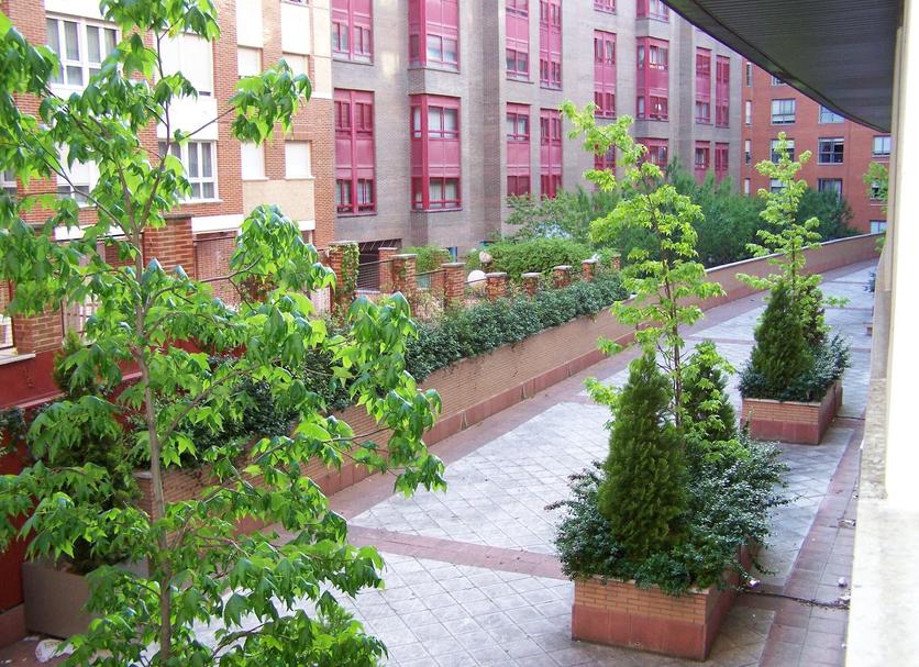 Cảnh ngoài trời Ảnh