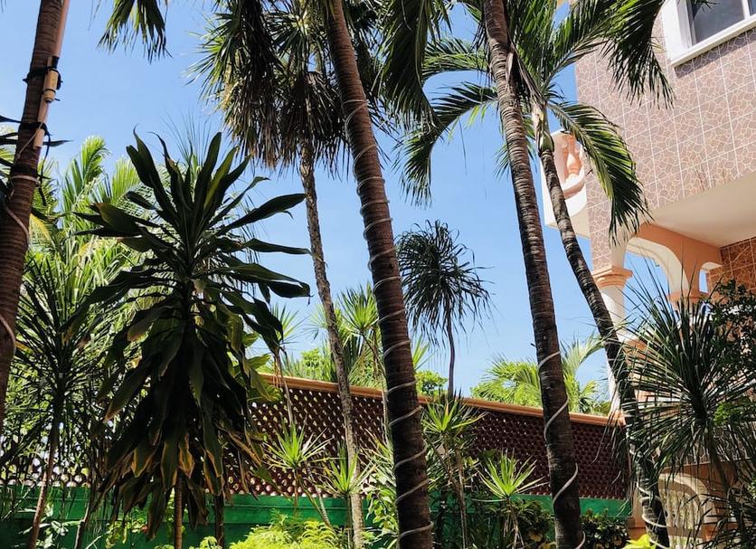 Cảnh ngoài trời Ảnh