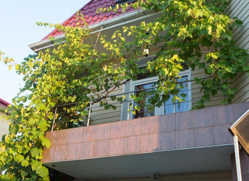 Cảnh ngoài trời Ảnh