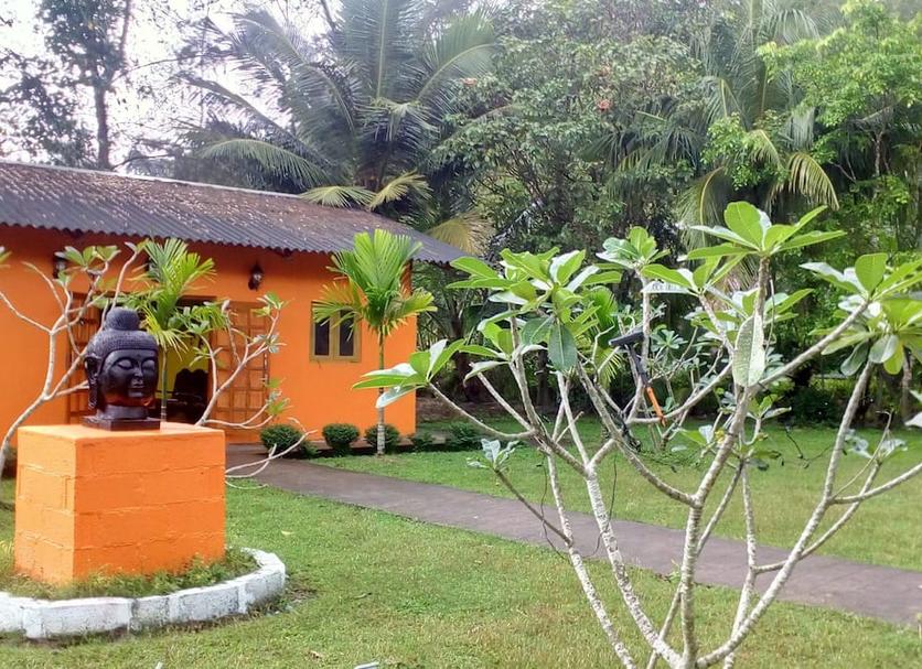 Cảnh ngoài trời Ảnh