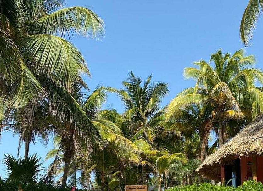 Cảnh ngoài trời Ảnh